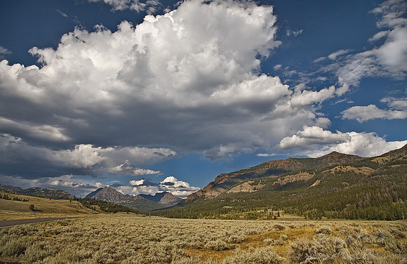 024_Yellowstone National Park