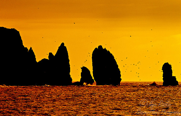 038 Kuril Islands - Russia