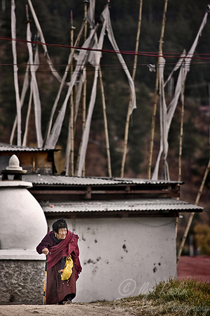 023_Thimphu Region_Bhutan