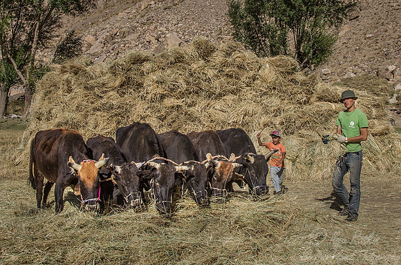 085 Pamir - Tajikistan