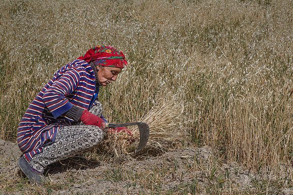 086 Pamir - Tajikistan