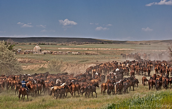 083 Southern Kazakhstan