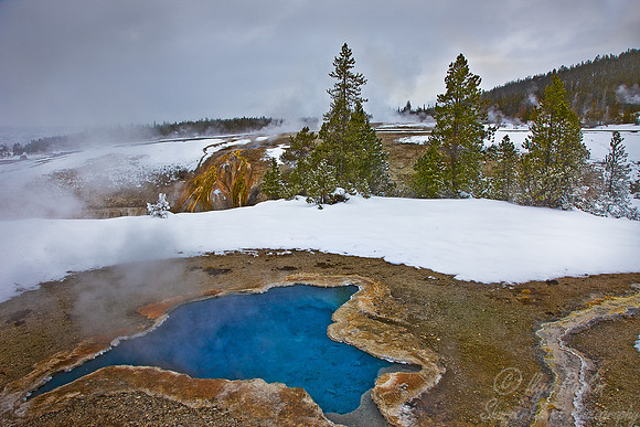 037_Yellowstone in winter