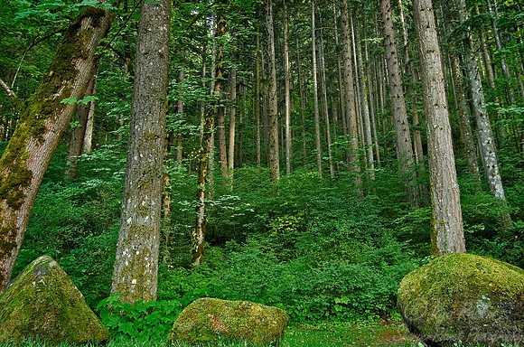 064_Oregon