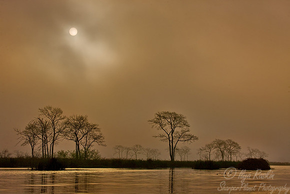 062_Louisiana