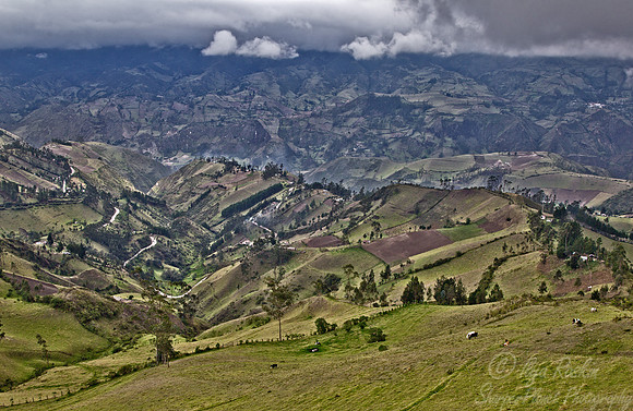 038 Cotopaxi Province - Ecuador