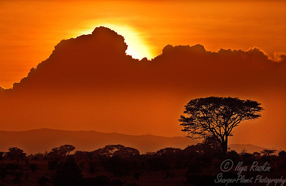 001 Nairobi National Park - Kenya