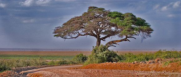 003 Kenya