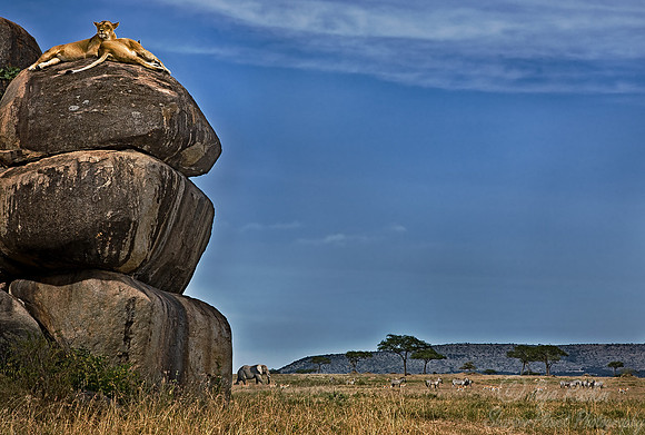 004 Tanzania