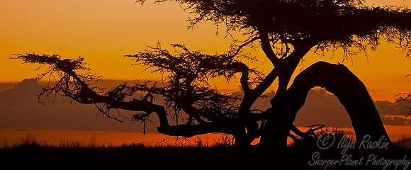 006 Tanzania