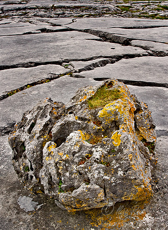 008 Ireland