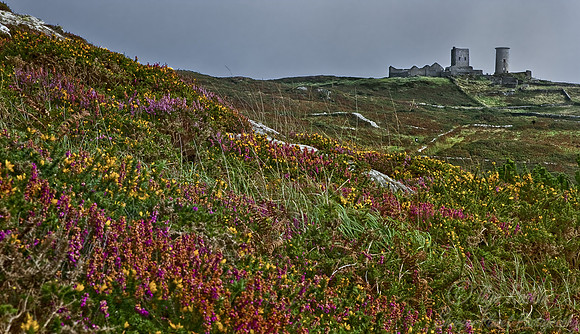 010 Clear Island - Ireland