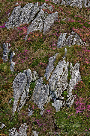 011 Clear Island - Ireland