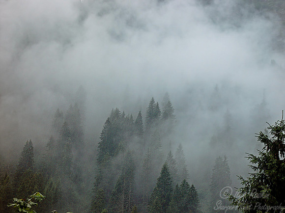 005 Switzerland