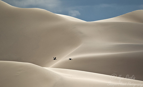 007 Gobi Desert - Mongolia