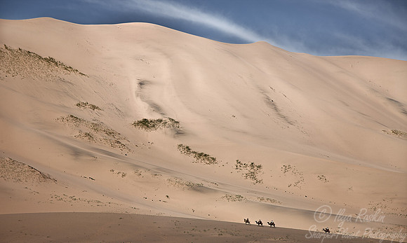 015 Gobi Desert - Mongolia