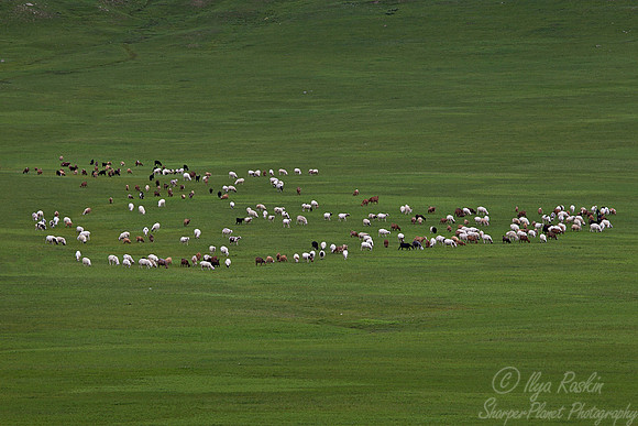 020 Central Mongolia