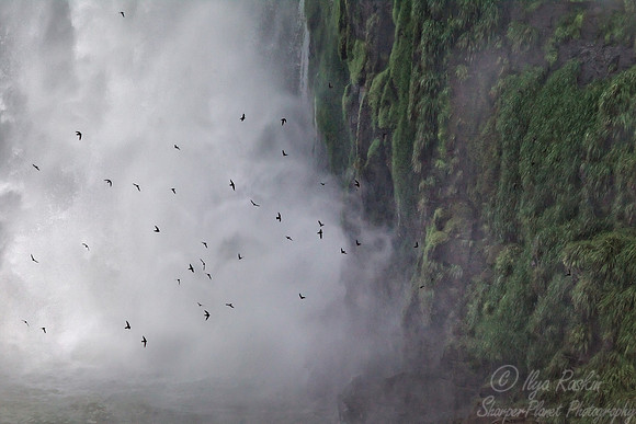 021 Iguazu Falls - Brazil