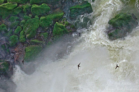024 Iguazu Falls - Brazil