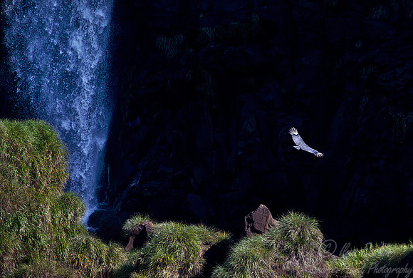 025 Iguazu Falls - Brazil