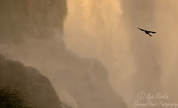 026 Iguazu Falls - Brazil