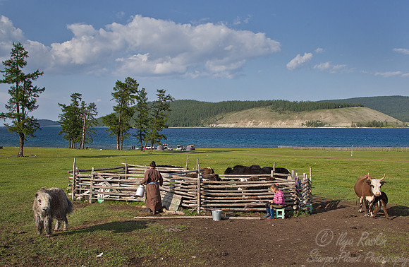 105 Lake Khuvsgul - Mongolia