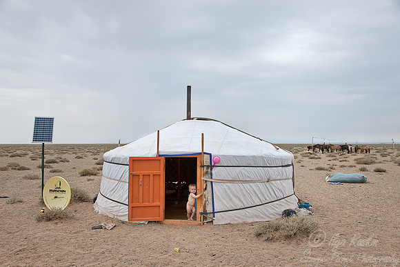 071 Gobi Desert - Mongolia