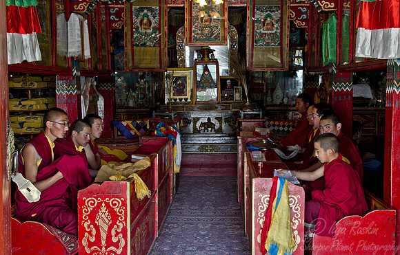 077 Karakoram - Mongolia