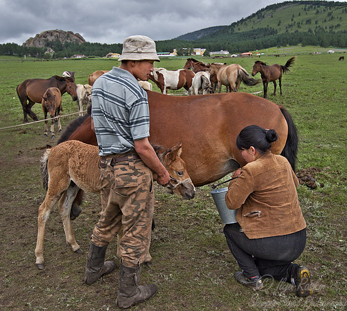 086 Central Mongolia