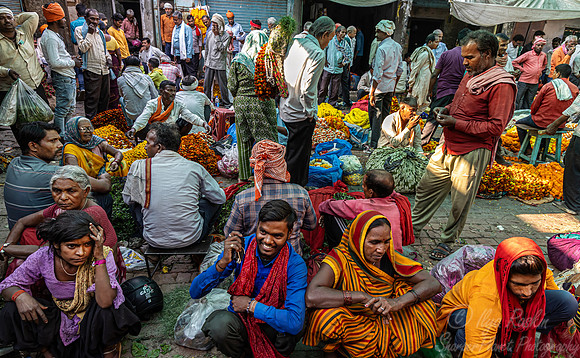 135 Varanasi India
