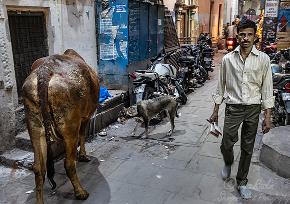 147 Varanasi India