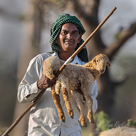 155 Rajasthan India