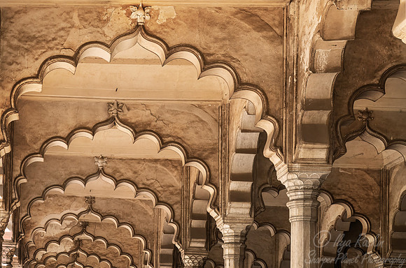 244 Agra India