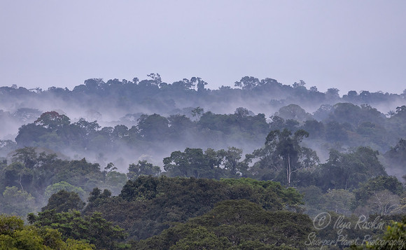 093 Amazonian Ecuador