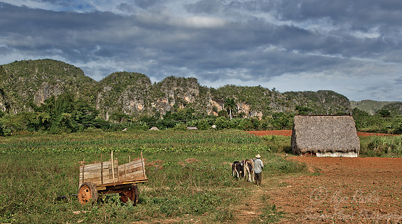 120 Vinales - Cuba