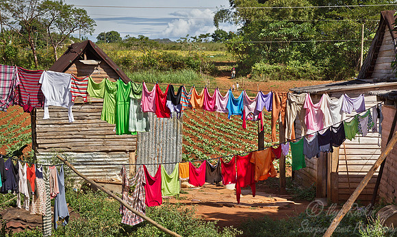 121 Vinales - Cuba
