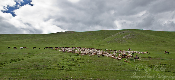 021 Central Mongolia