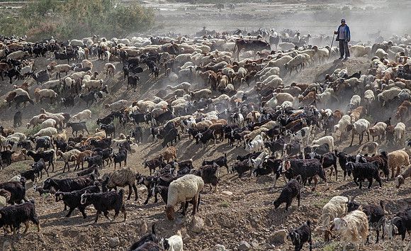 043 Turkmenistan