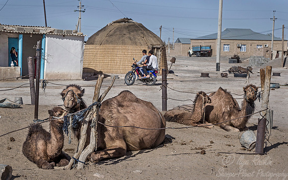 049 Turkmenistan