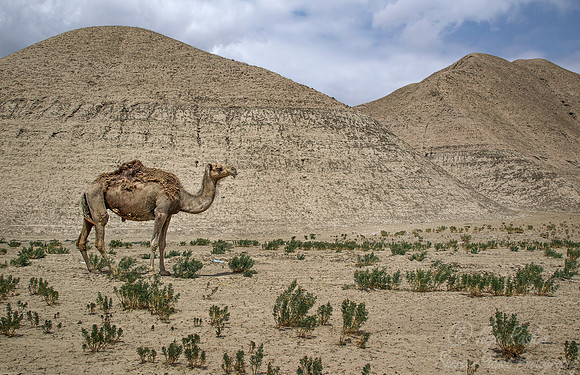 051 Turkmenistan
