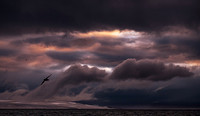 2022 Svalbard Landscapes