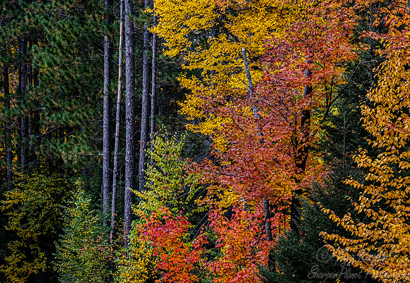 128 Northern Minnesota