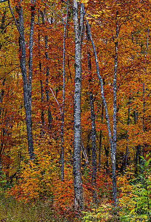 127 Northern Minnesota