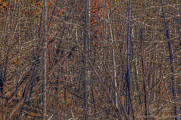 129 Northern Minnesota