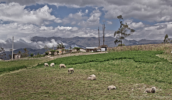 041 Cotopaxi Province - Ecuador
