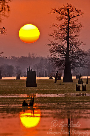 065_Louisiana