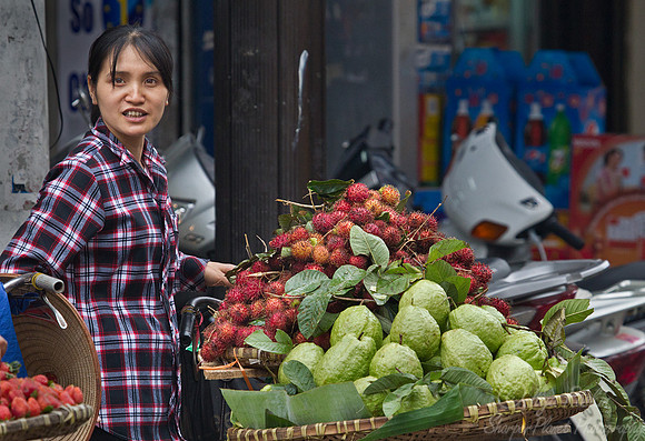 111 Hanoi - Vietnam