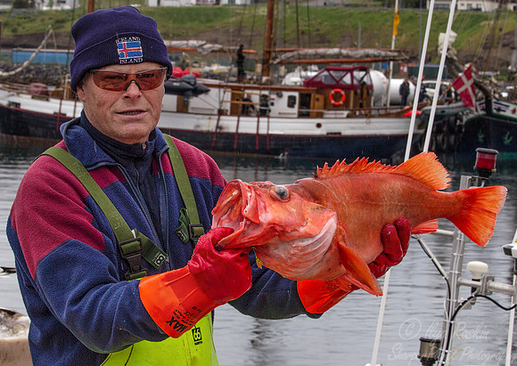 095 Husavik - Iceland
