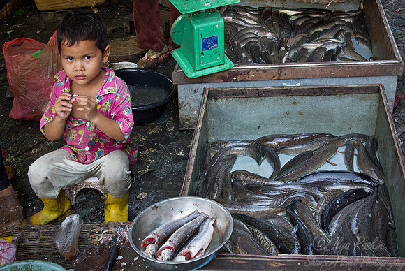 038 Siem Reap - Cambodia