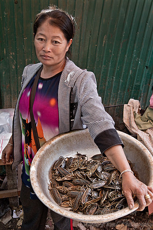 085 Vientiane - Laos